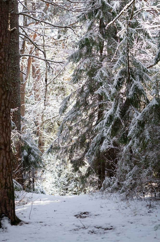 Photograph by Екатерина Одинцова