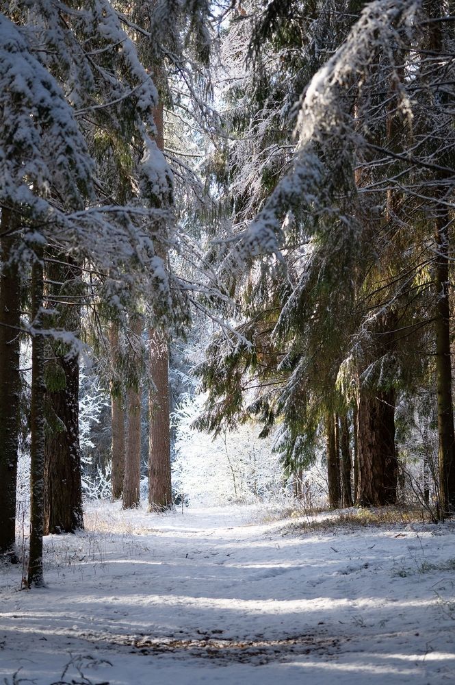 Photograph by Екатерина Одинцова