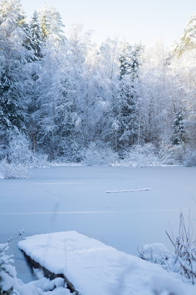 Photograph by Екатерина Одинцова