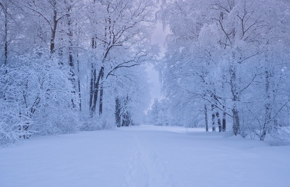 Photograph by Светлана Муравьева