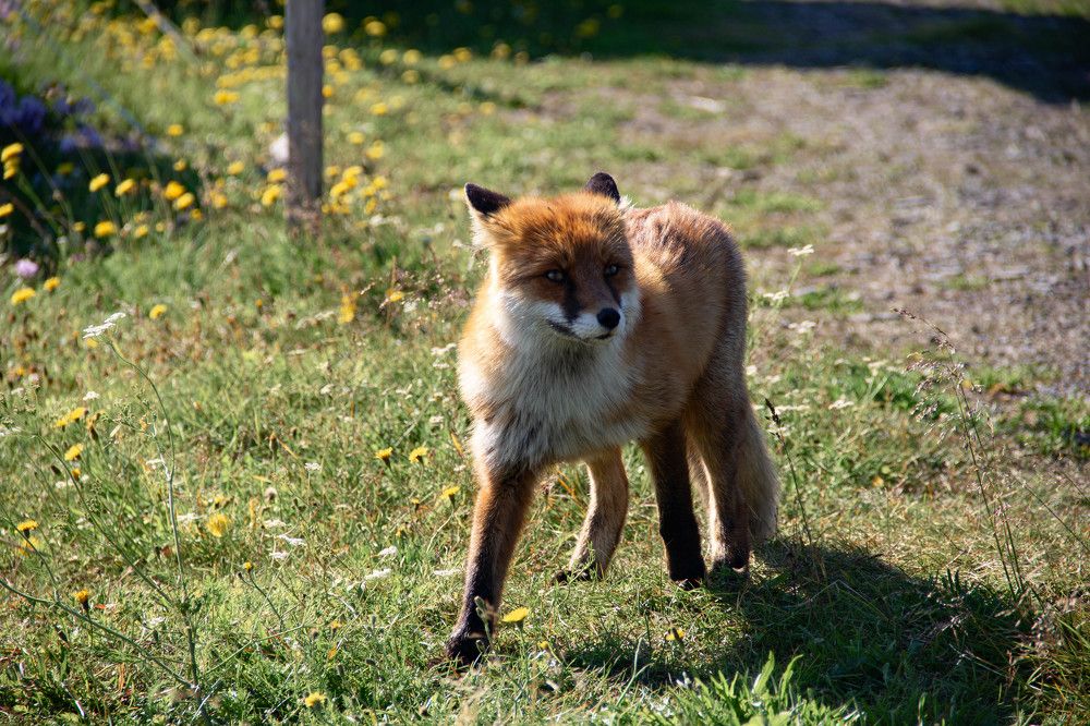 Photograph by Marina Shamonina