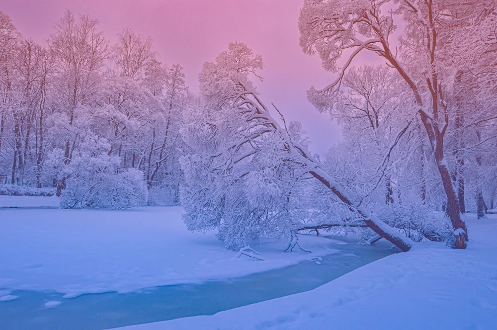 Photograph by Светлана Муравьева