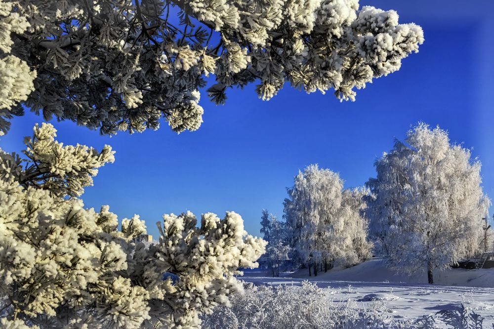 Заиндевелое царство.