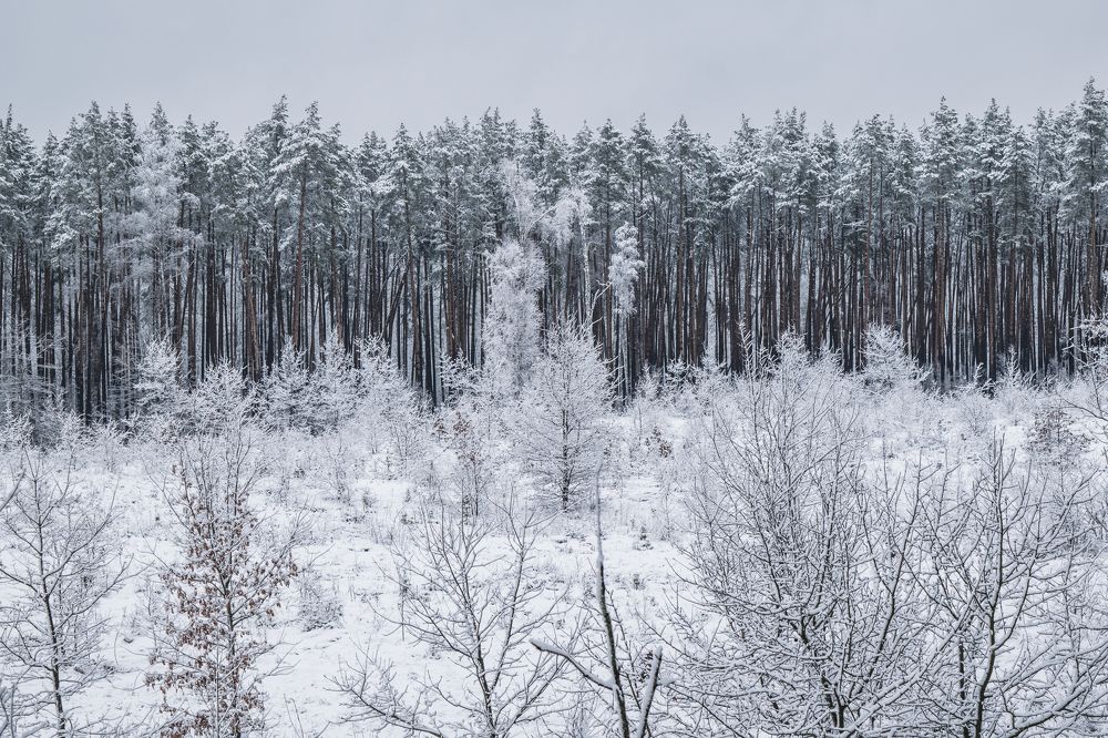 Photograph by Денис Мазычев