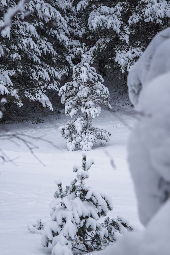 Photograph by Денис Мазычев