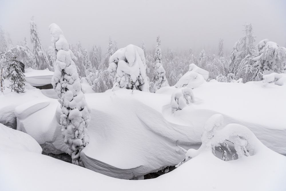 Photograph by Крицак Ольга