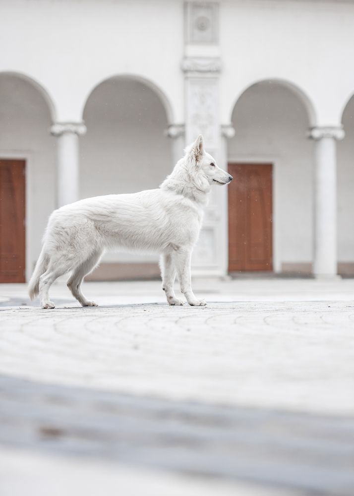 Photograph by Tamás Horváth