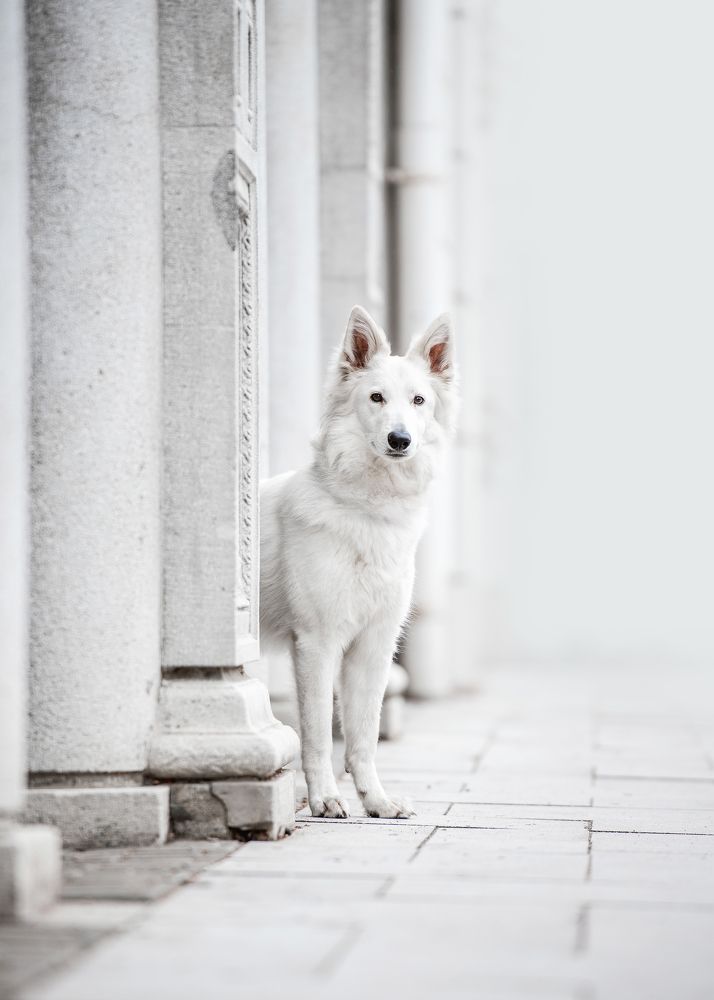 Photograph by Tamás Horváth