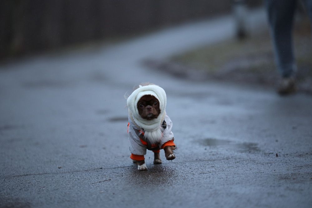 Фотография автора Иван Безрядин