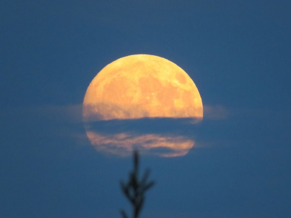 Photograph by Елена Кузина