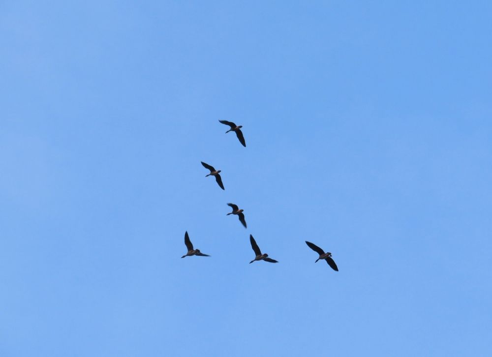 Photograph by Елена Кузина