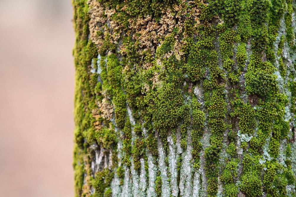 Фотография автора Иван Безрядин