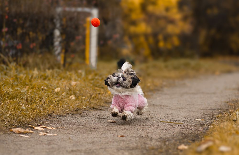 Photograph by Людмила Подольская