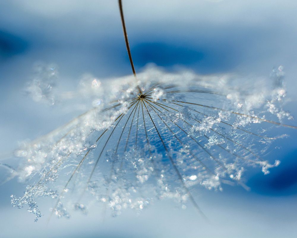 Photograph by Людмила Прибылова