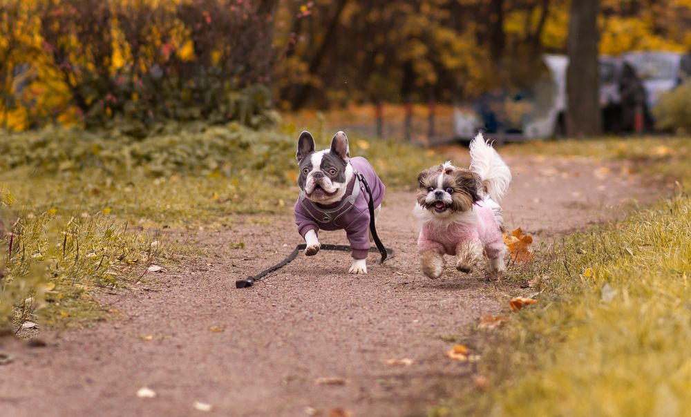 Photograph by Людмила Подольская