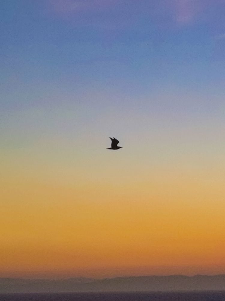 Photograph by Attef Bouras