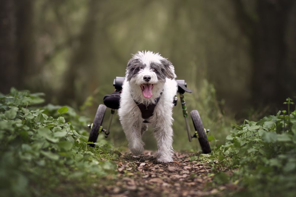 Photograph by Leticia Hernandez