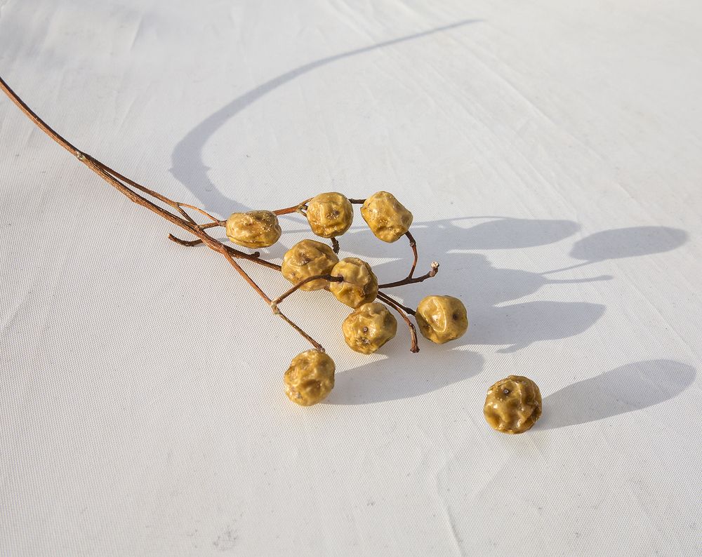 Мнимая индивидуальность