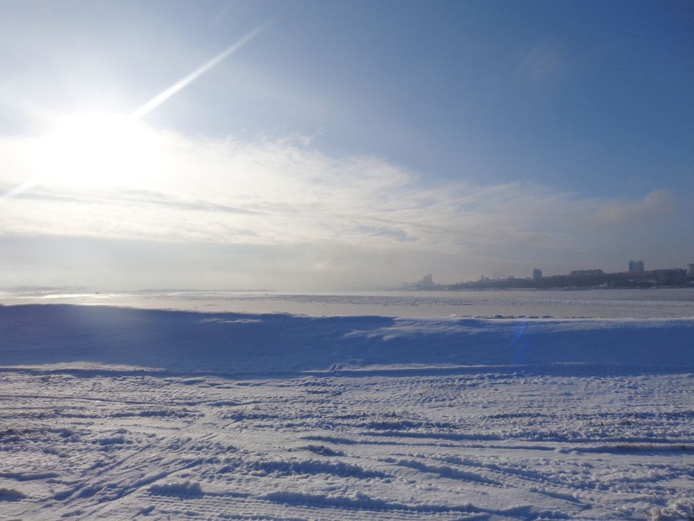 Photo #11678519