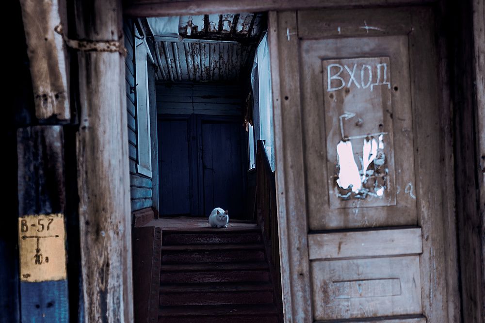 Photograph by Кирилл Ситников