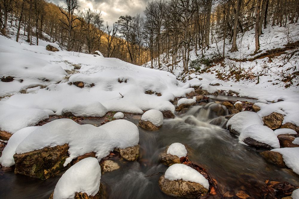 Photograph by Hossain Pourhasan