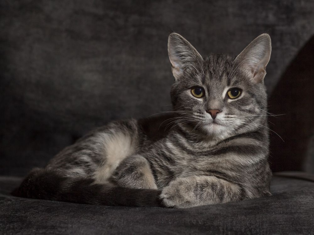 Photograph by Сергей Алексеев