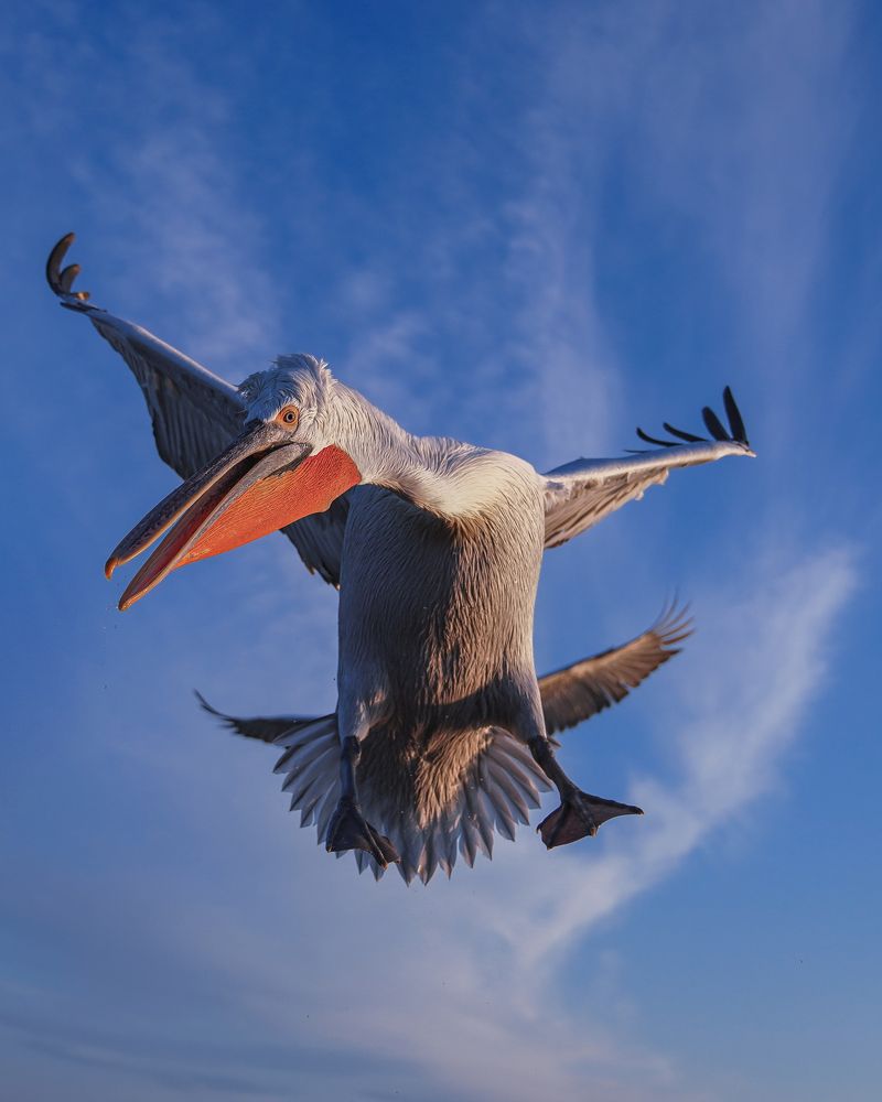 If you look at the situation from above