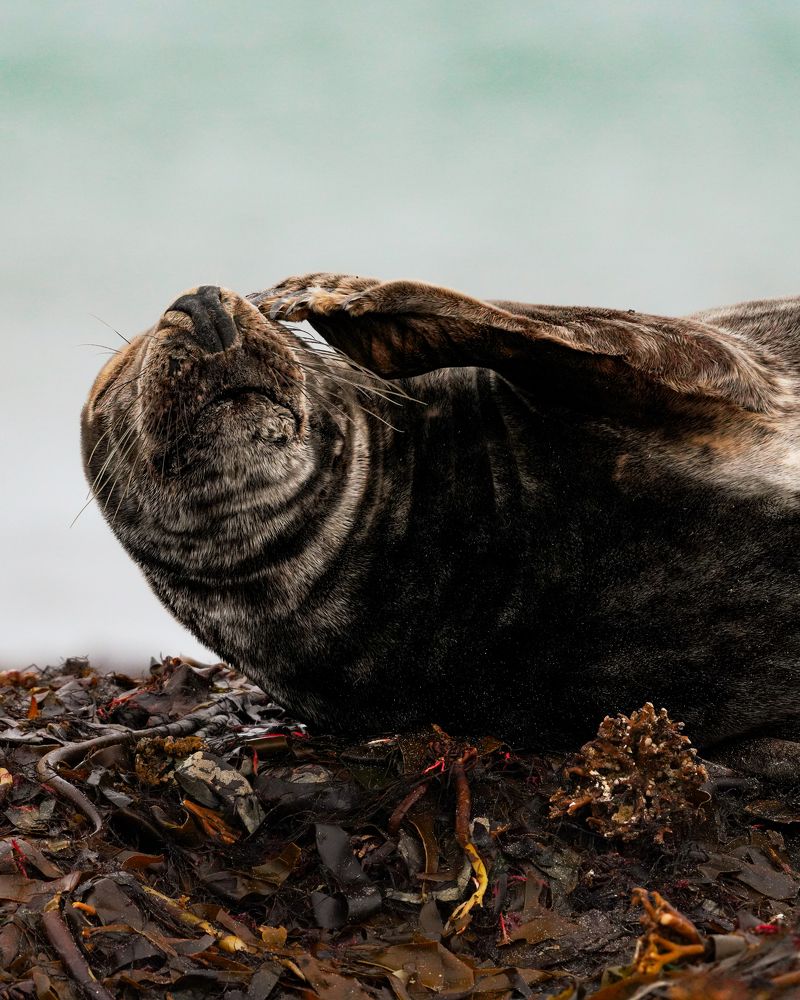 In relaxation or let this world wait for ...