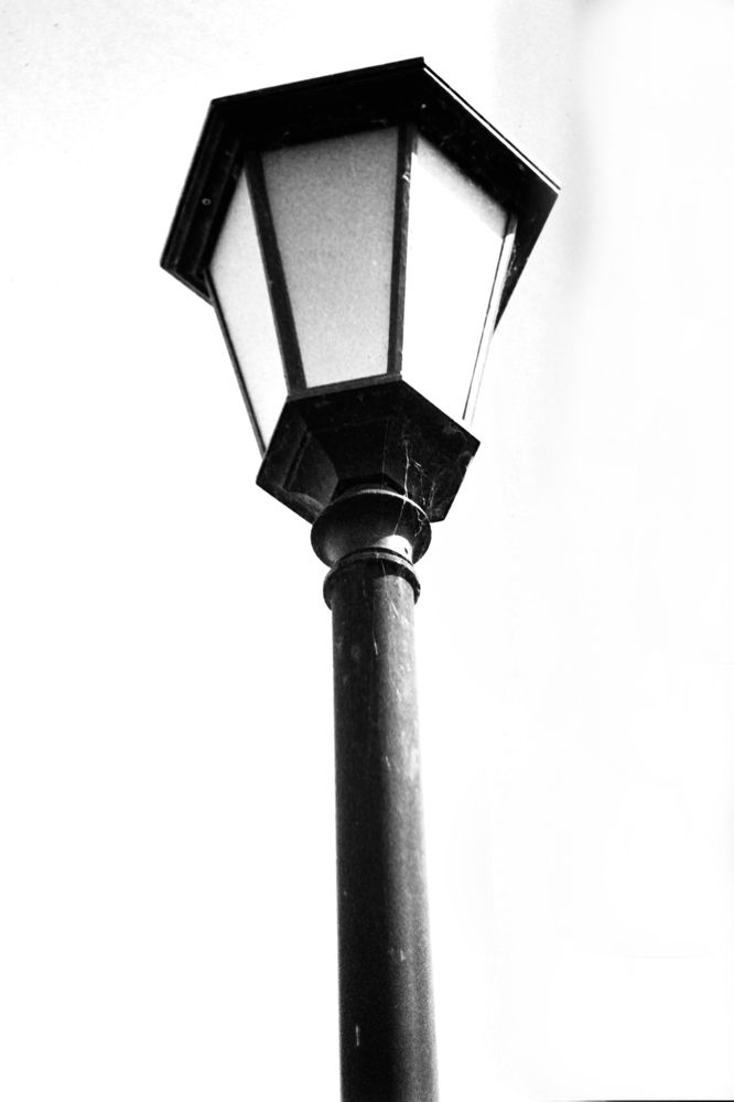 Photograph by Юлия Шадрина