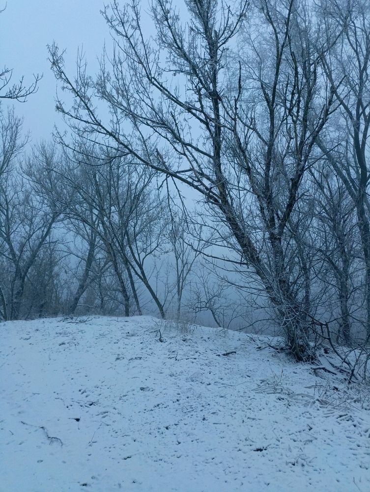 Photograph by Александр Казачек