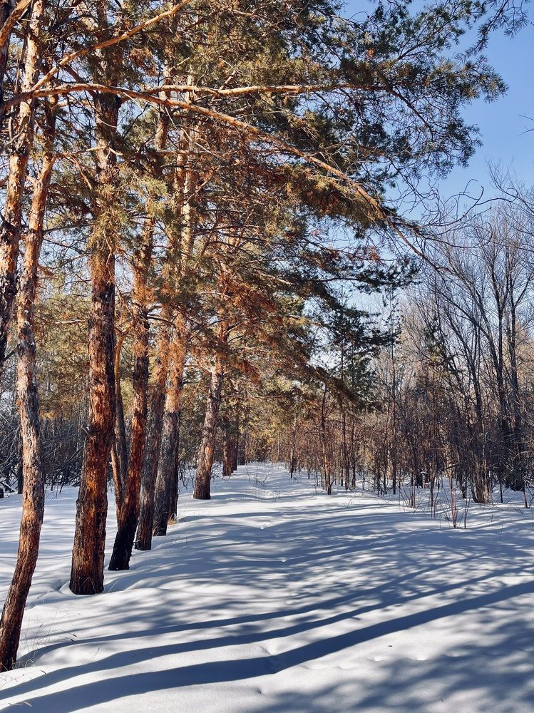 Photograph by Ольга Белоусова