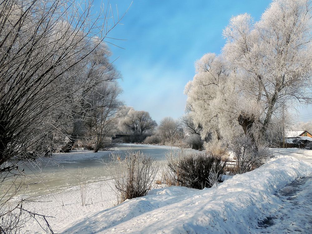 Фотография автора Роман Савоцкий