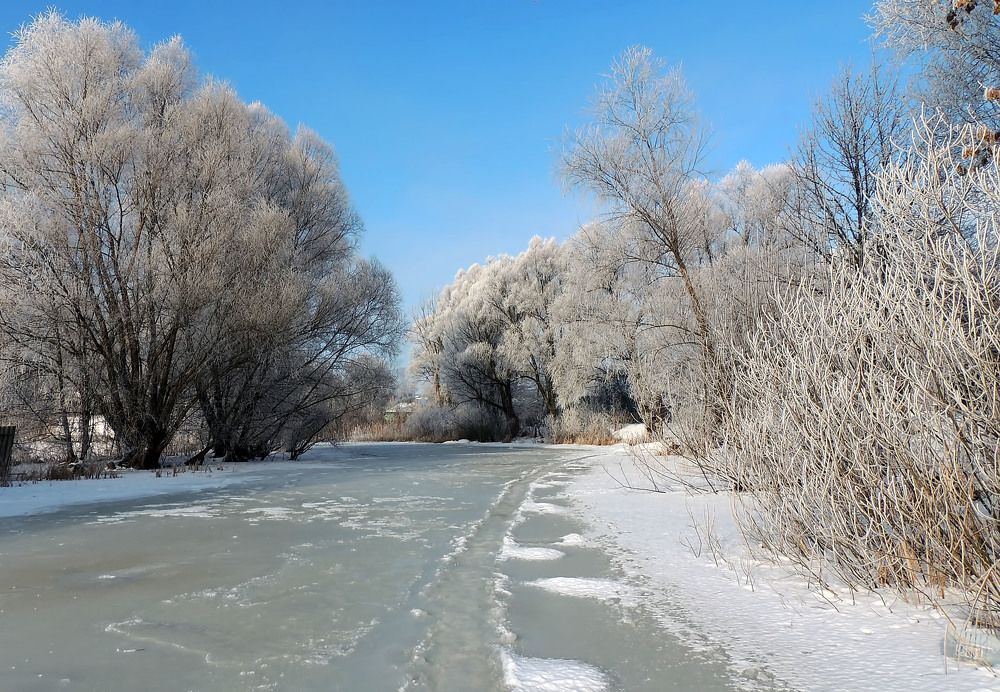 Фотография автора Роман Савоцкий