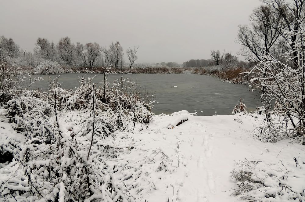 Фотография автора Роман Савоцкий