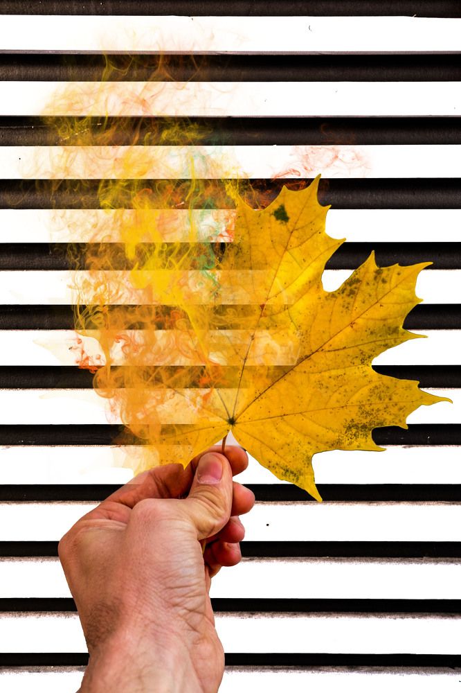 Photograph by Ирина Александрович