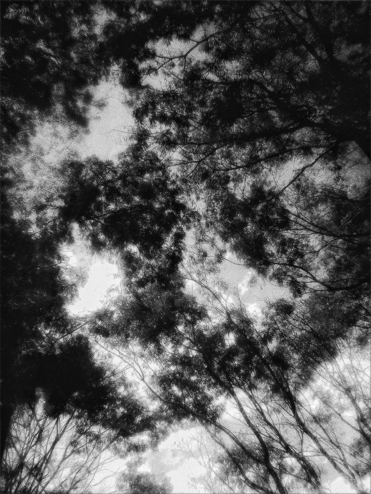 Photograph by Evelyn Emelly