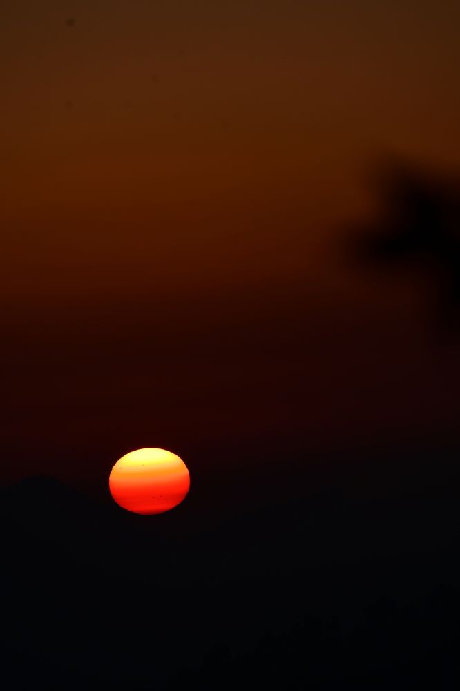 Photograph by Praveen Bhagat