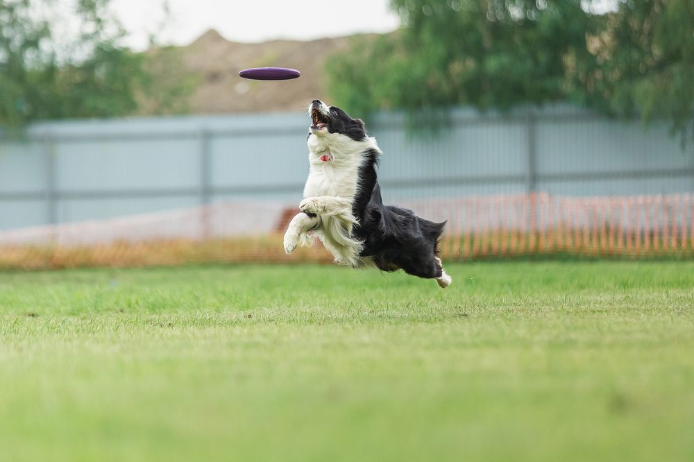 Photograph by Елизавета Романова