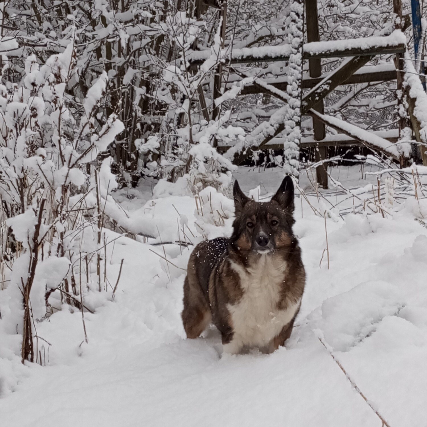 Photo #11678828