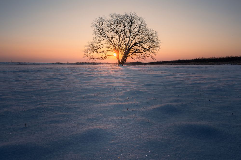 Photograph by Manh Cuong Truong