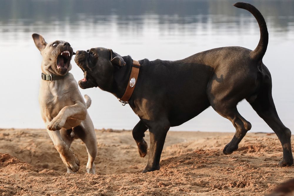 Photograph by Наталья Суслова