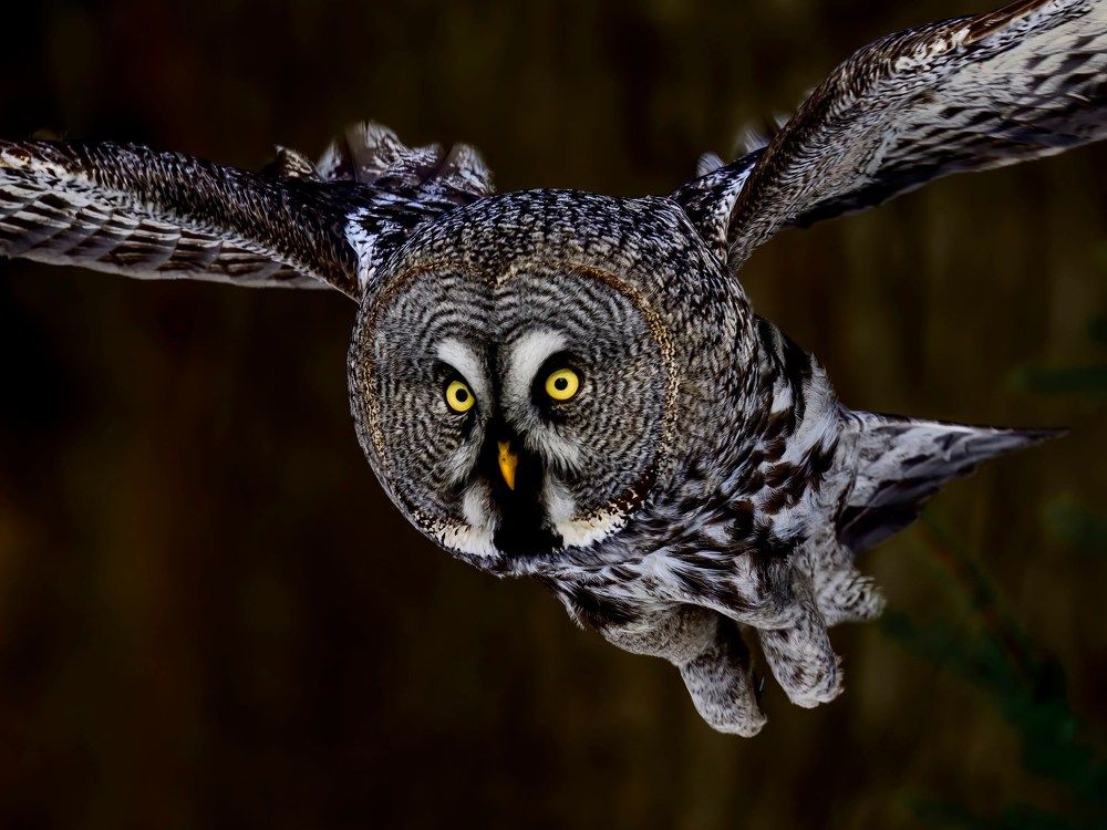 Photograph by Пупонин Сергей