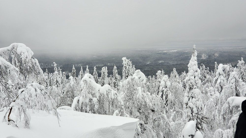 Photograph by Игорь