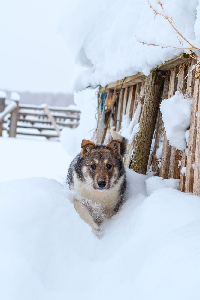 Photograph by Лина Матвеева