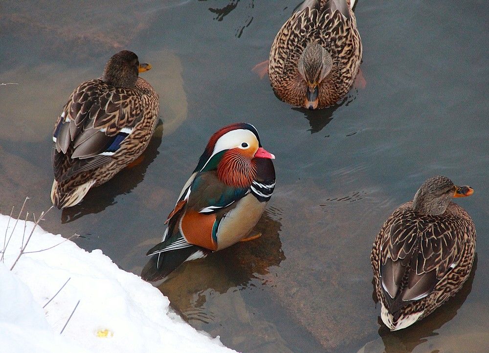 Photograph by Владимир Малёшин