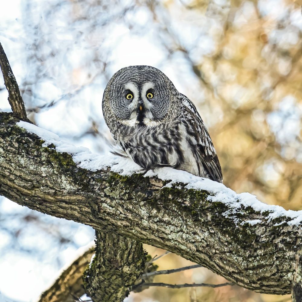 Photograph by Руслан Pl