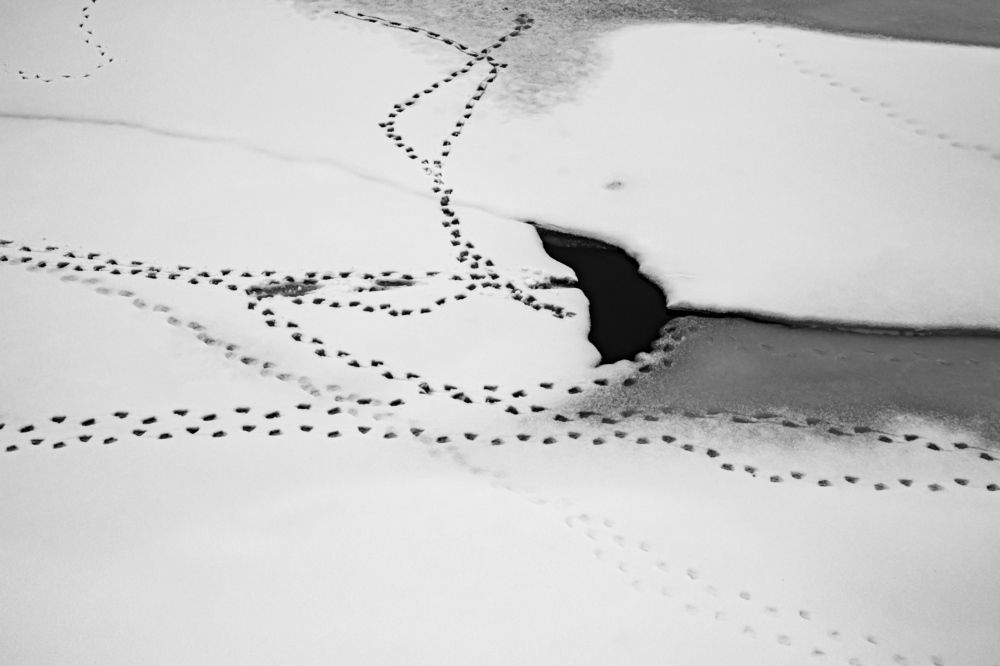 Photograph by Александр Малахов