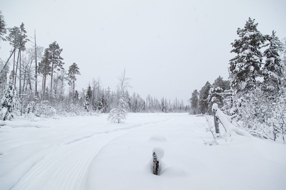 Photograph by Григорий Шишонков