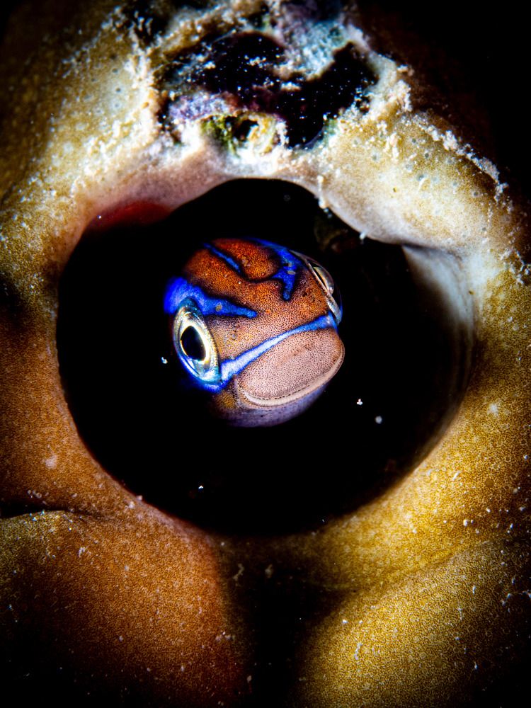 Photograph by Alexander Plakida