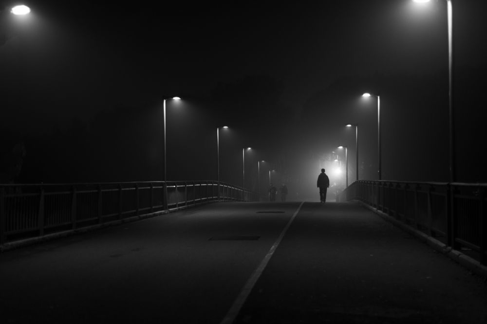Lonely Shadow on the Night Road
